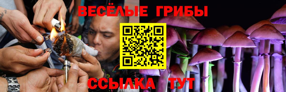 Псилоцибиновые грибы Cubensis  наркотики  Псилоцибиновые грибы Psilocybine cubensis  Ижевск  Вход с VPN 